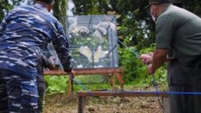 37 Satwa Endemik Papua Dilepasliarkan, Ada Berasal dari Translokasi di Luar Papua