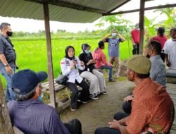 Membentengi Lahan Pertanian, Menjaga Keamanan Pangan Etam