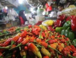 Harga Cabai Makin Pedas Jelang Natal dan Tahun Baru