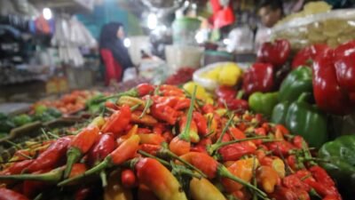 Menjelang akhir tahun, atau perayaan Natal 2021 dan Tahun Baru 2022 (Nataru) harga cabai makin pedas
