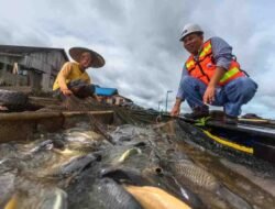 Reklamasi PT Kitadin Fokus Pada Lingkungan dan Masyarakat