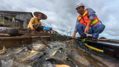 Reklamasi PT Kitadin Fokus Pada Lingkungan dan Masyarakat