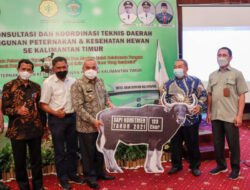 Dinas Peternakan Kaltim Galakan Program Mini Ranch Sapi Potong Bagi Kesejahteraan Peternak