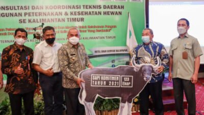 Dinas Peternakan Kaltim Galakan Program Mini Ranch Sapi Potong Bagi Kesejahteraan Peternak
