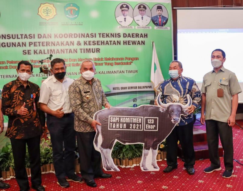 Dinas Peternakan Kaltim Galakan Program Mini Ranch Sapi Potong Bagi Kesejahteraan Peternak