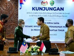 IKN Nusantara Jadi Magnet Investasi, Pemerintah Persilahkan Investor Tanam Modal di Kaltim