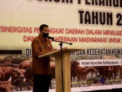 DKPH Jamin Stok Daging dan Telur di Kaltim Cukup