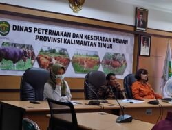 Jangan Panik! DPKH Pastikan Hewan Ternak Kaltim Bebas PMK