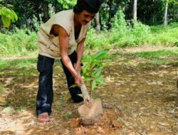 27 Tahun Pengabdian, MHA Mului Raih Penghargaan Kalpataru