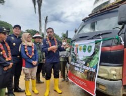 Pisang Kepok Grecek Khas Kutai Timur Tembus Pasar Internasional