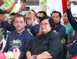 Kembalikan Hutan Hujan Tropis di IKN