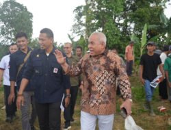Tim Setmilpres Tinjau Perkebunan Rakyat di Kelurahan Sepan Sepaku