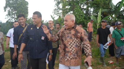 Tim Setmilpres Tinjau Perkebunan Rakyat di Kelurahan Sepan Sepaku
