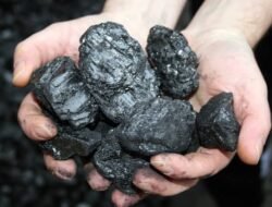 Ekspor Batu Bara Kaltim Fluktuatif, Ketergantungan ke Tiongkok Jadi Sorotan